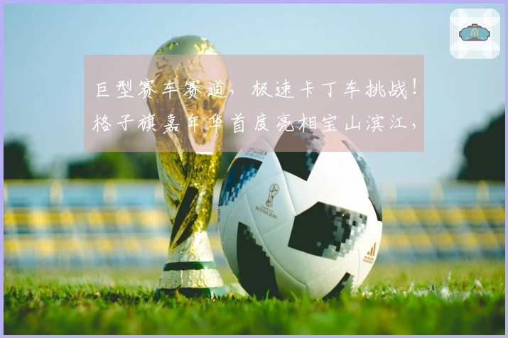 巨型赛车赛道，极速卡丁车挑战！格子旗嘉年华首度亮相宝山滨江，拉开春日狂欢序幕
